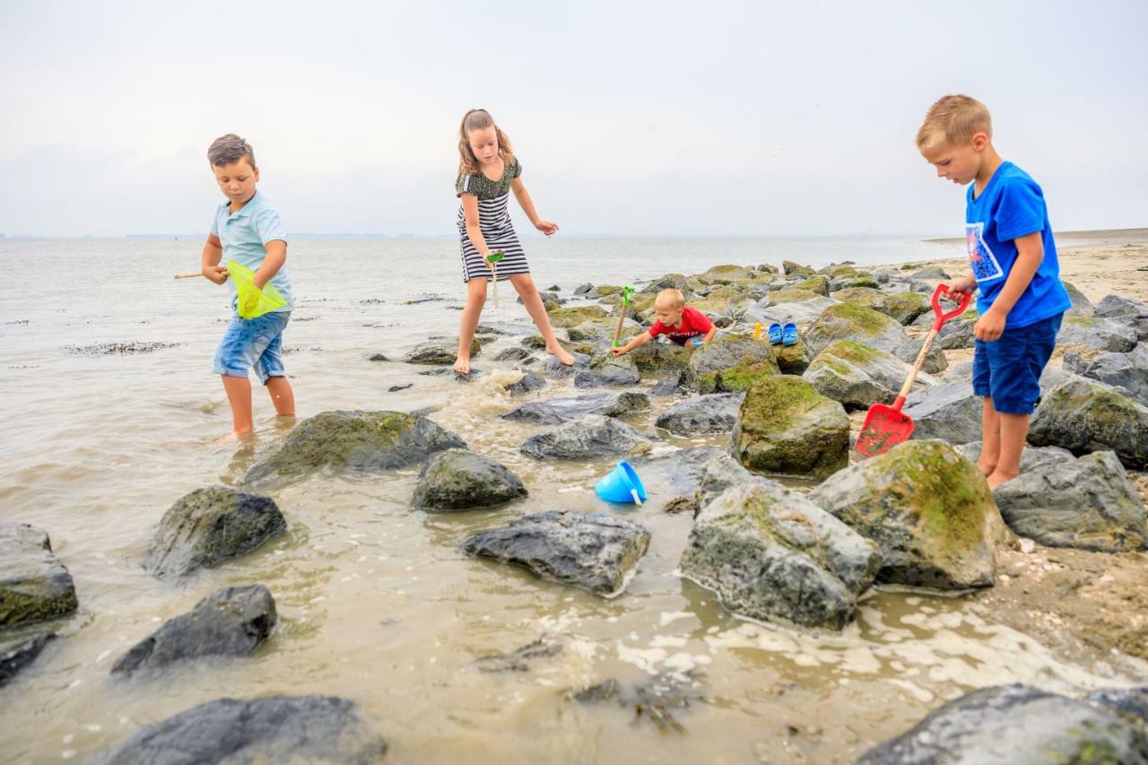 Baarland Camping Scheldeoord מראה חיצוני תמונה